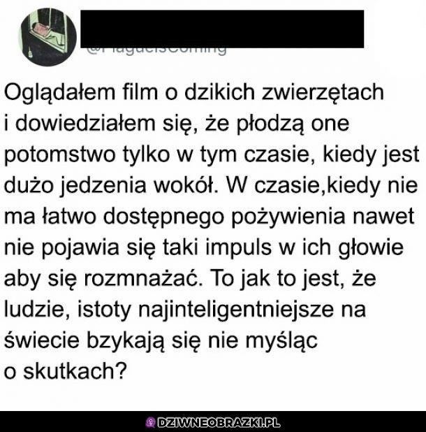 Niektórzy powinni się uczyć od zwierząt