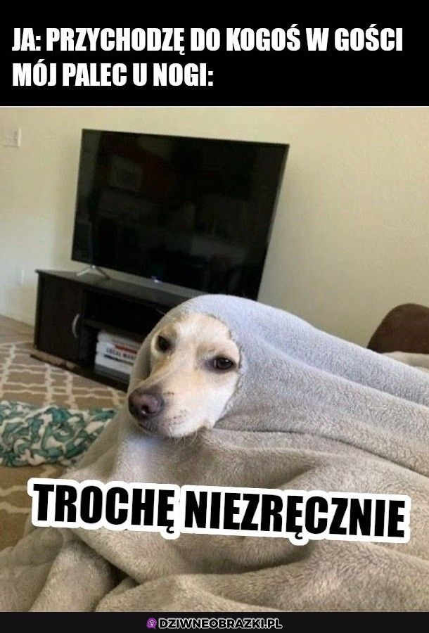 Ten jeden palec