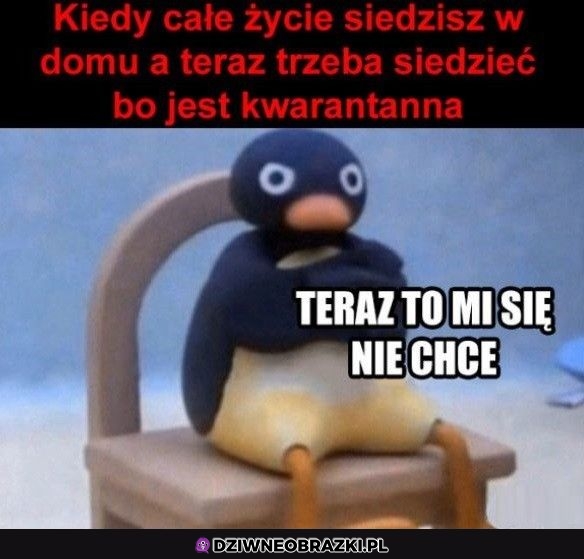 Właśnie