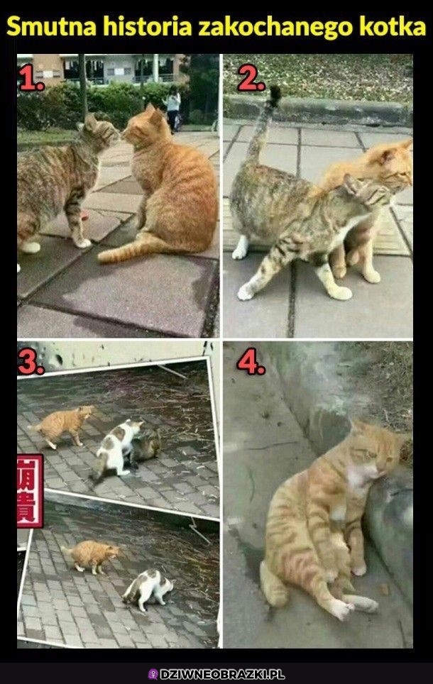 Naprawdę smutne