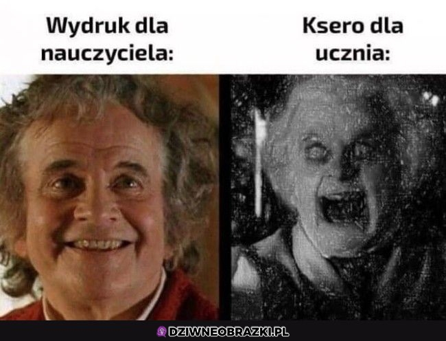 Zawsze