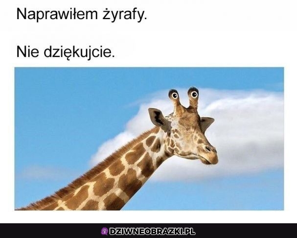 A gdyby tak było?