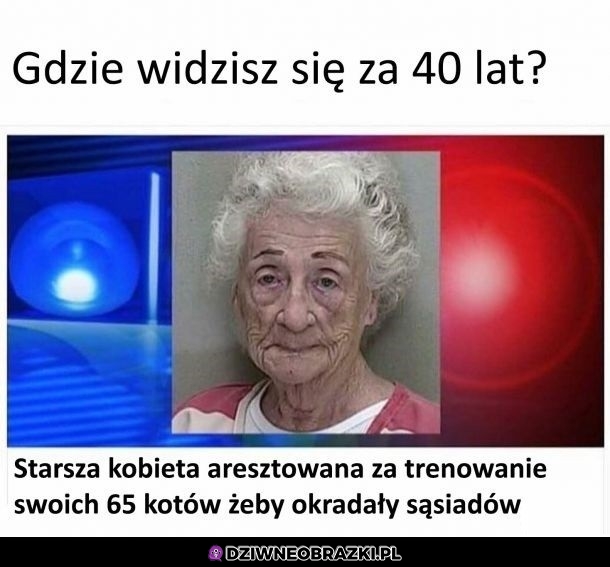 Jest to plan