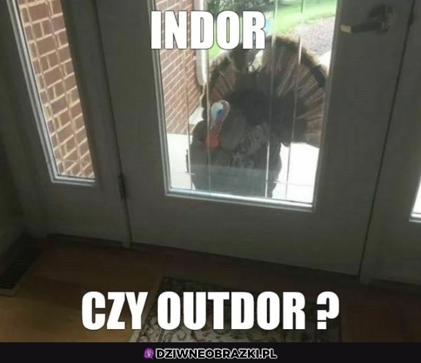Oba