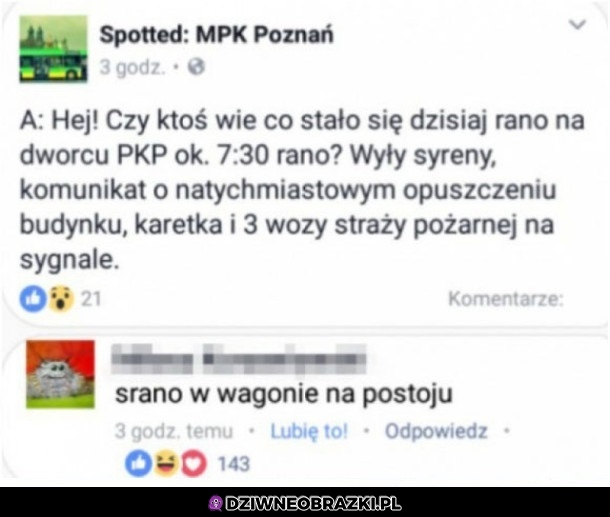 To niesamowite co tam się musiało dziać!