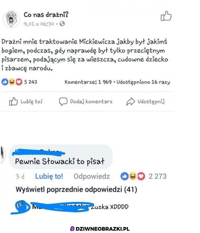 Recenzja