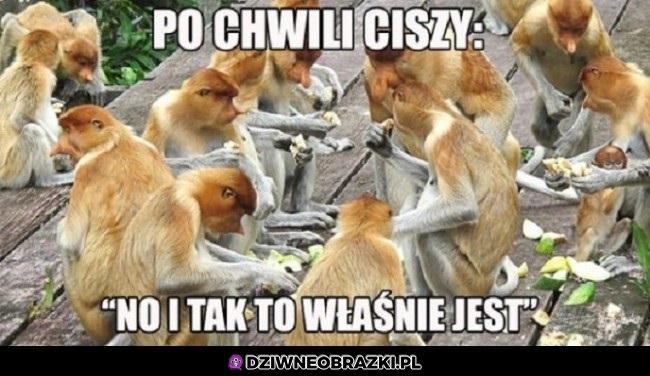 Chwila ciszy