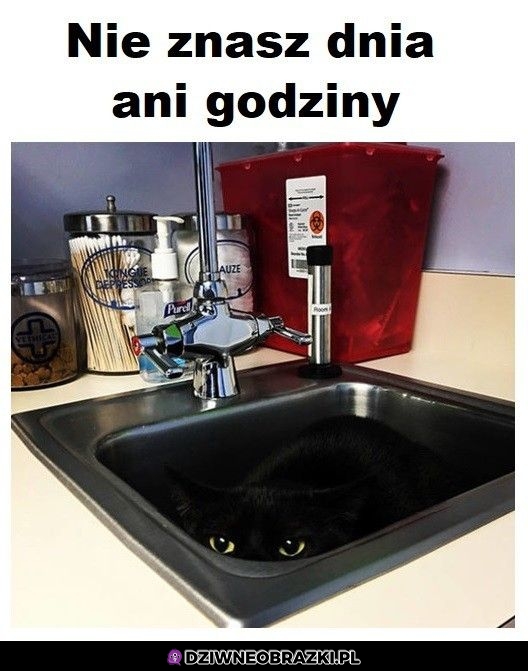 Czai sie