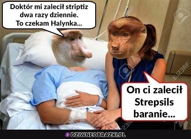 Zalecenie to zalecenie
