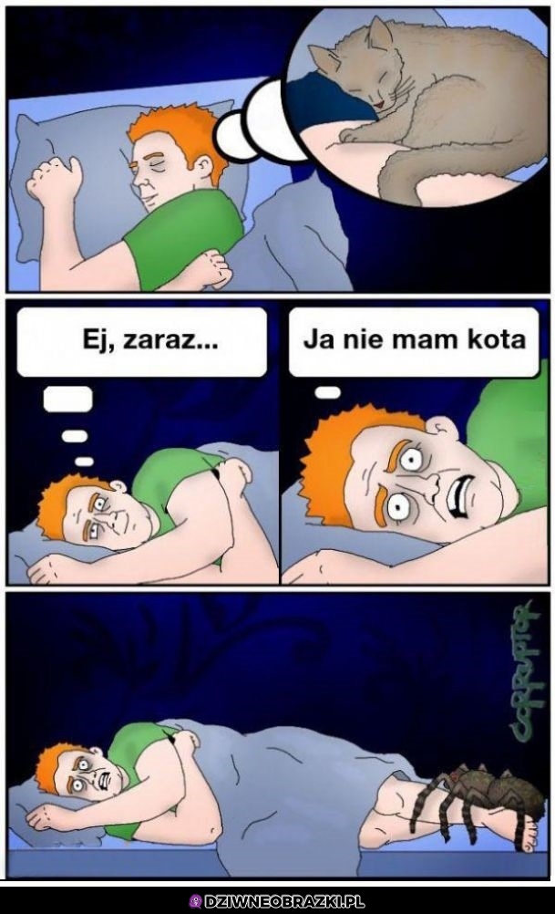 Coś tu nie gra