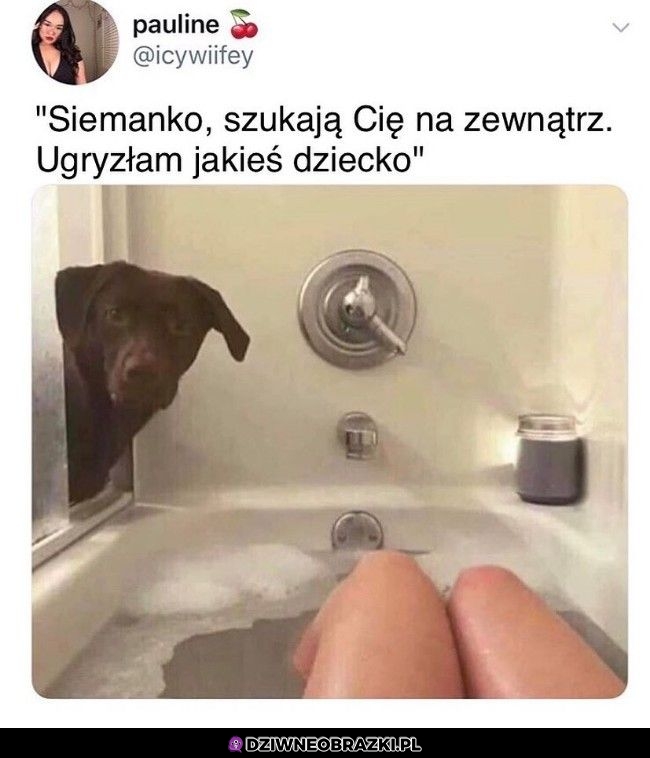 Sprawa jest, gnojek mnie za ogon ciągnął