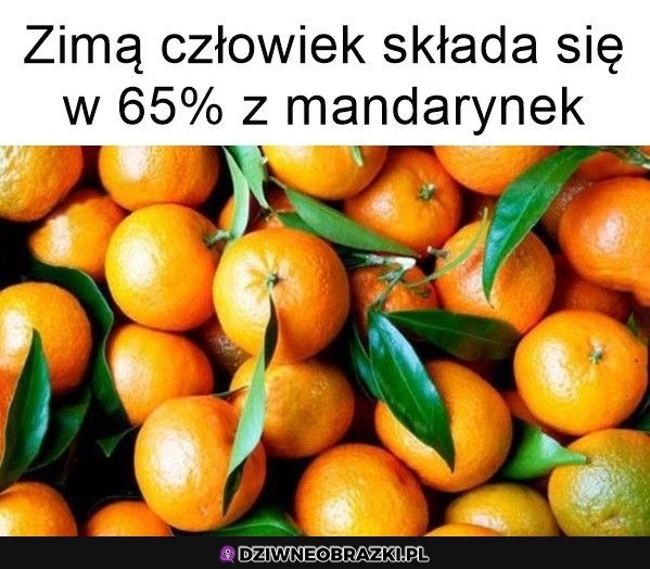 Tylko tylu?