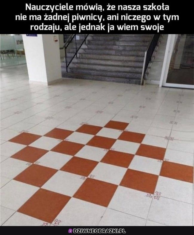 Coś tu się kryje