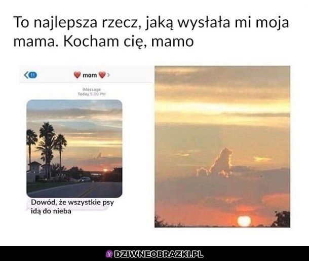 Najlepsza wiadomość