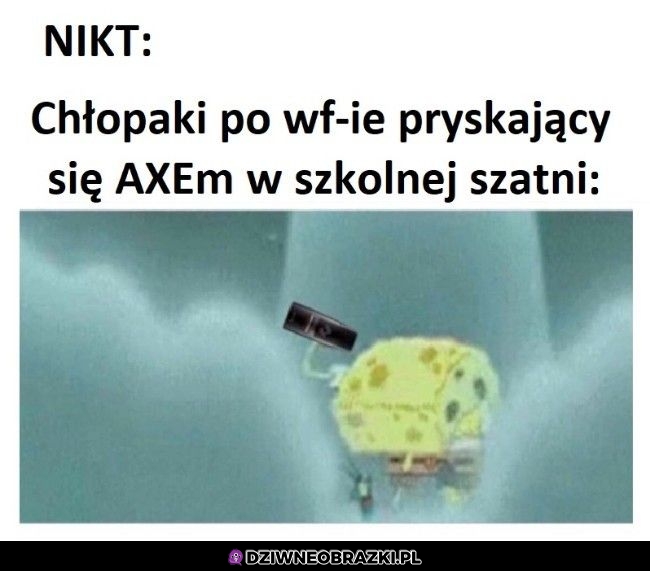 Po WF