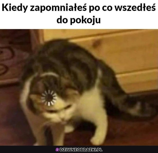 Co ja tu robię