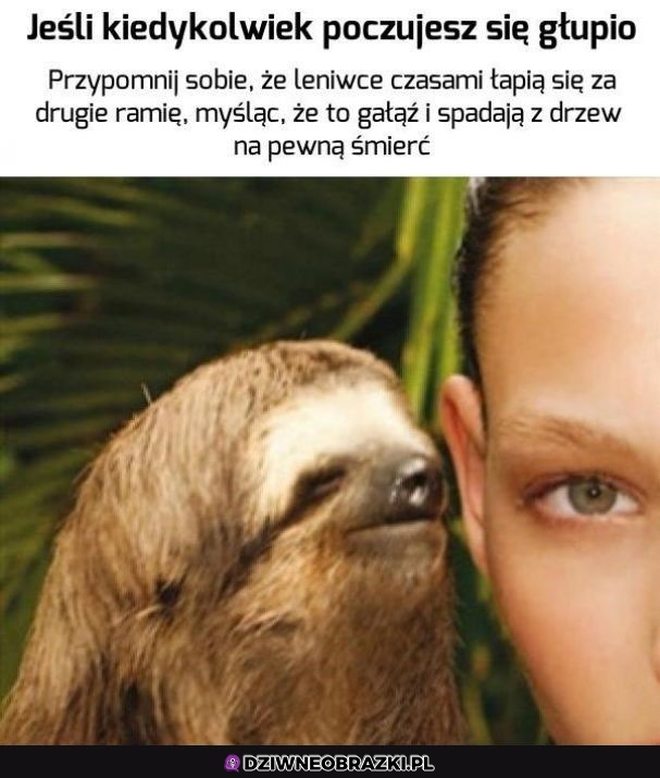 To faktycznie głupie