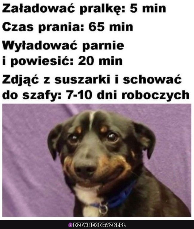 Tak to działa