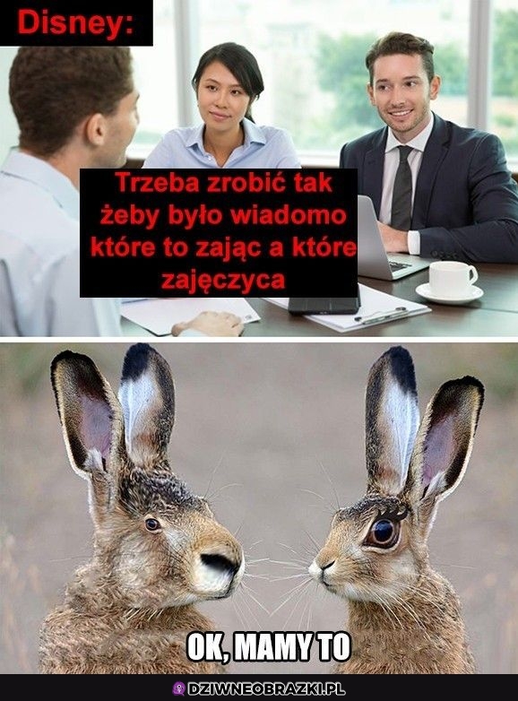 Ogarnięte