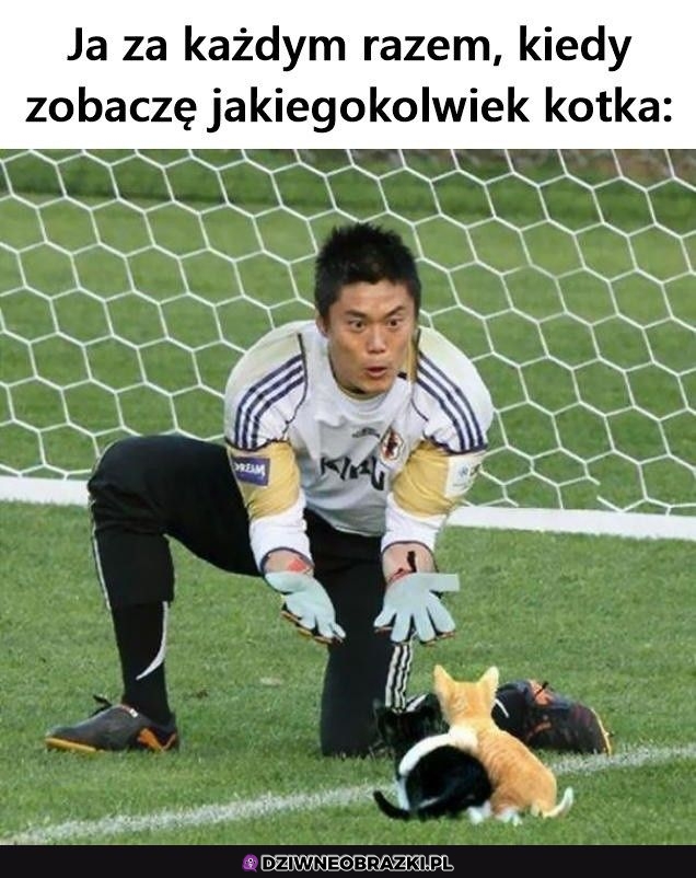 O kitku