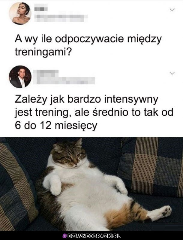 Odpoczynek między treningami