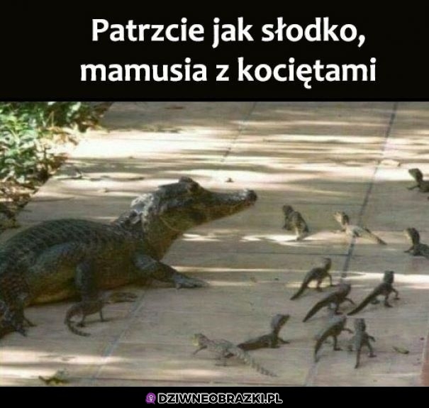 Jak słodko