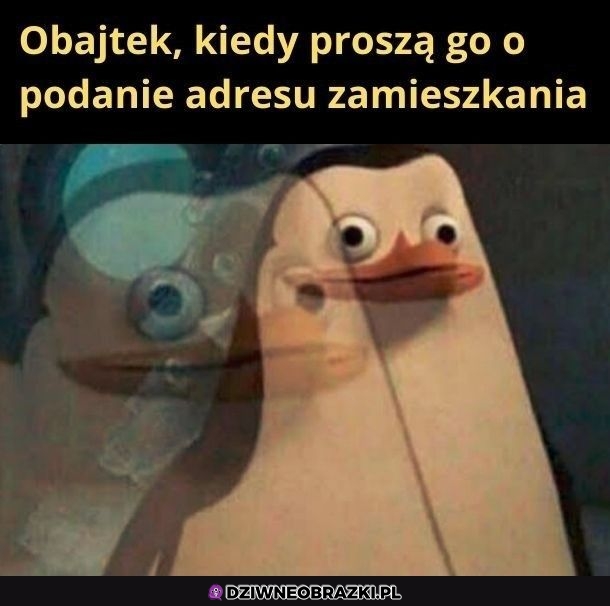 Który podać?