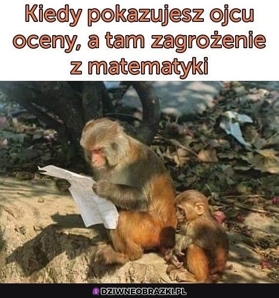 Ten moment