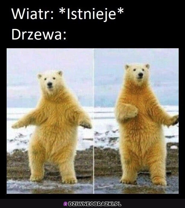 Kiedy wieje