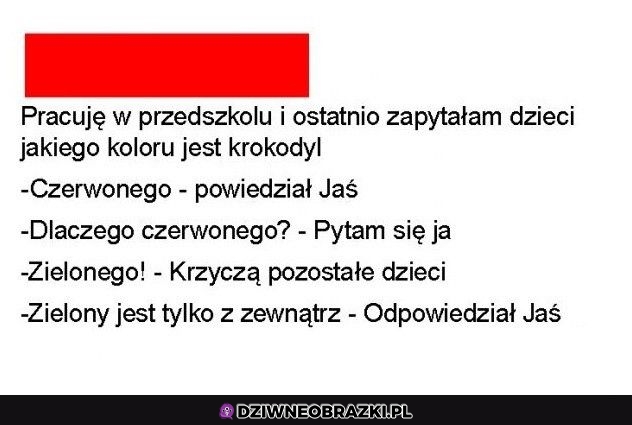 Krokodylek