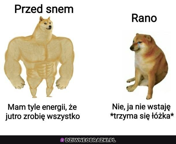 Dlatego trzeba się kłaść później i korzystać z energii :D 