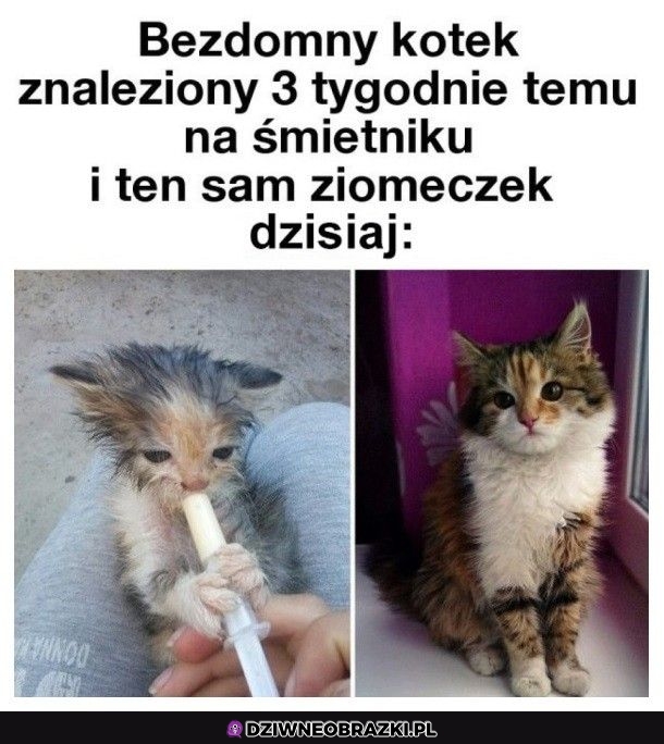 No i fajnie
