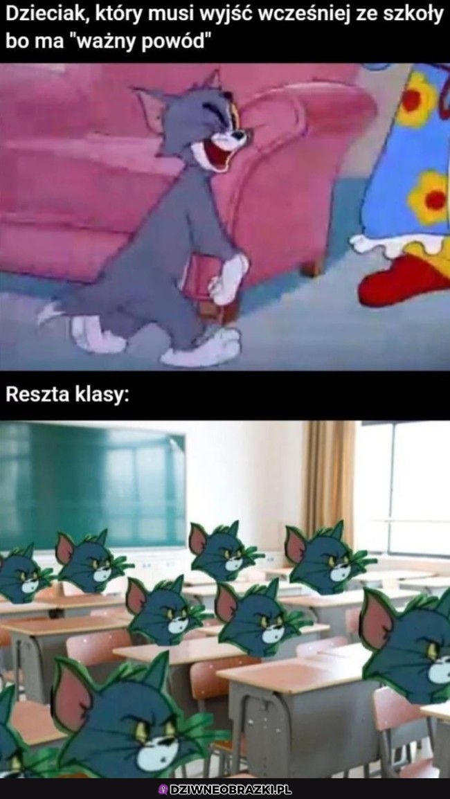 Kiedy wychodzi ze szkoły