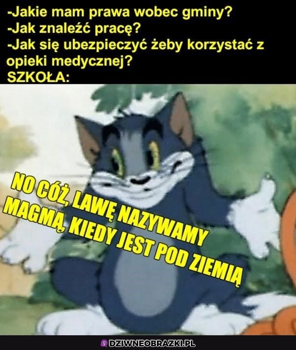 Dziękuję szkoło