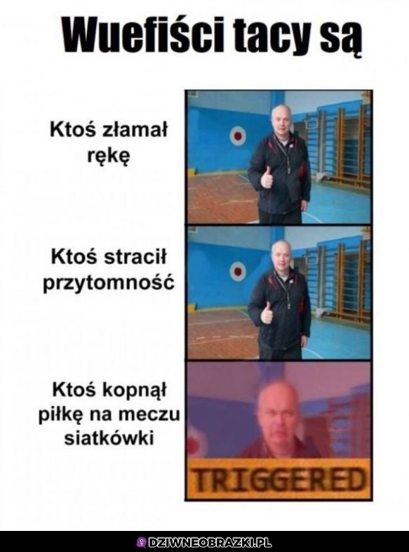 Wfiści