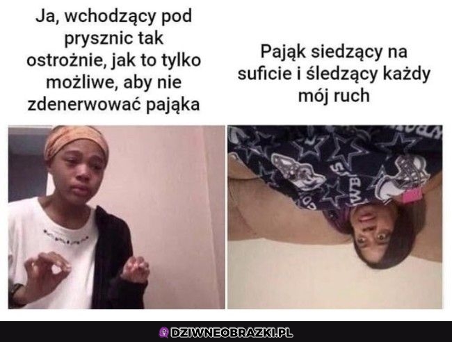 Ten moment