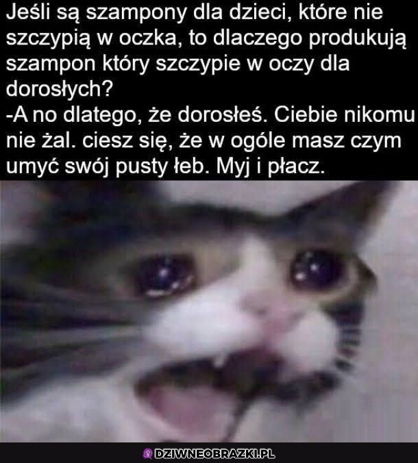 Szampony uczą życia