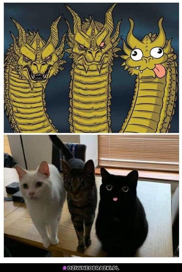 To oni