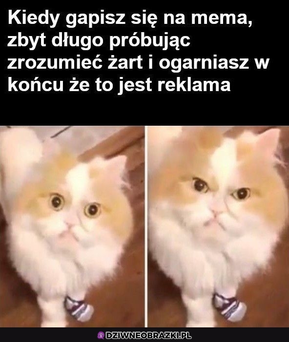 O żesz ty