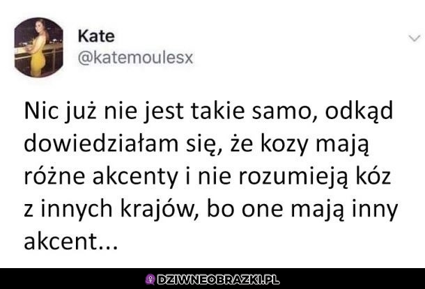 Świat nie jest taki sam