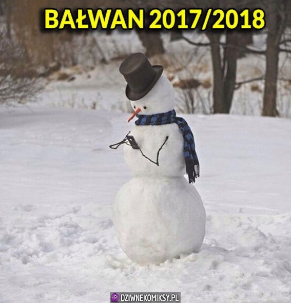 Bałwan tegoroczny