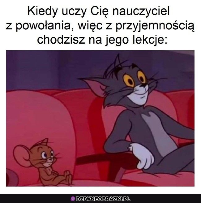 Szkoda, że to rzadkość