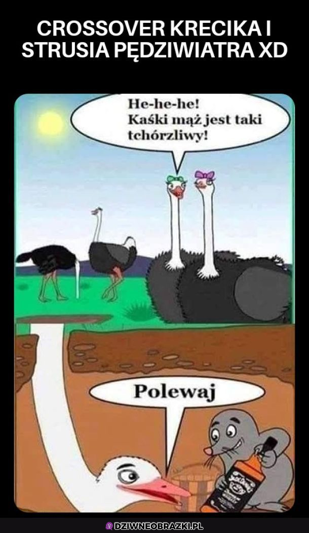 To historia prawdziwa 
