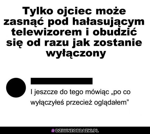 Umiejętność ojcowska