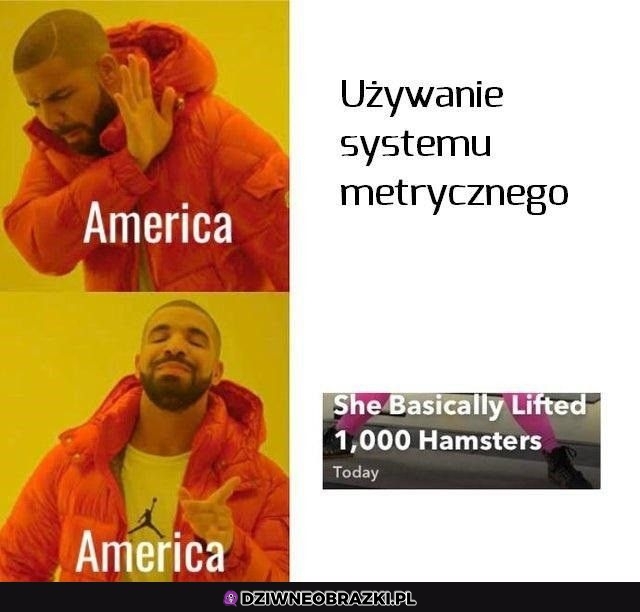 Totalnie normalna jednostka