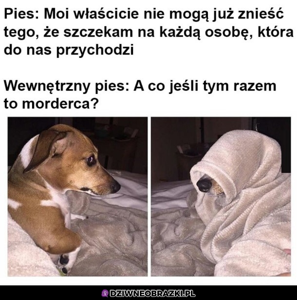 A co jeśli tym razem?