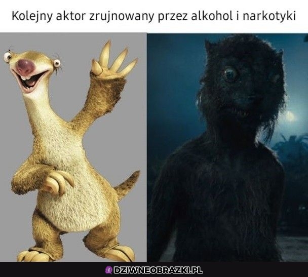 Trzymajcie się od nich z daleka