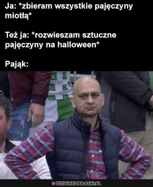 Kiedy robisz pająka w chuja