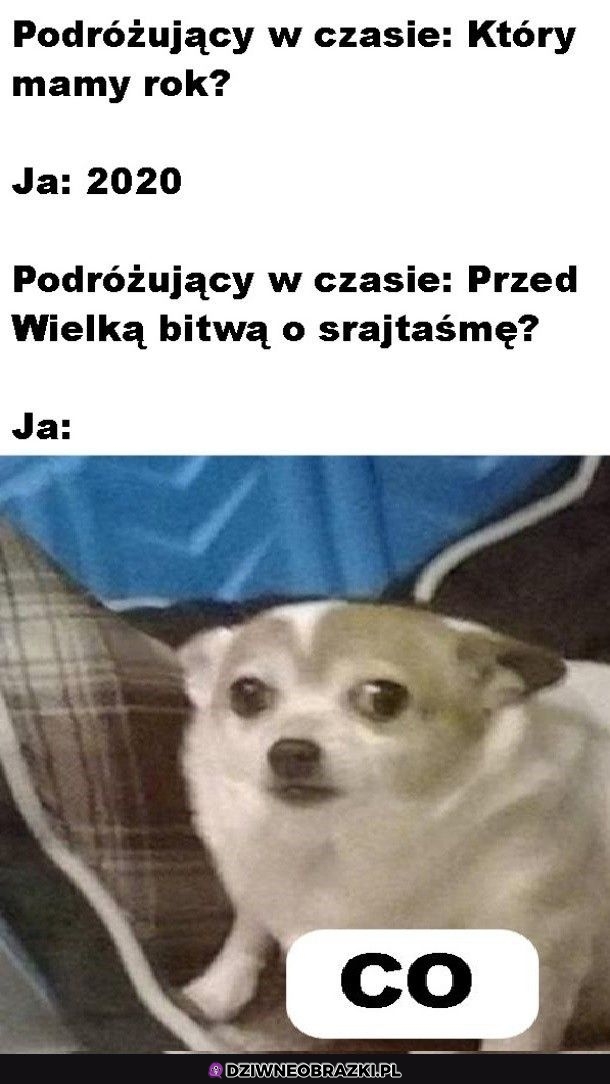 Który to rok?