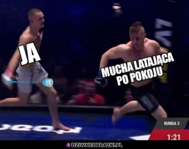 Zaczyna się sezon na nie